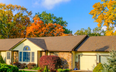Fall Storms and Fallen Trees: Who Pays for the Damage?